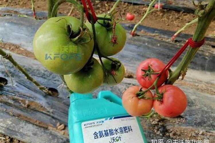 水溶肥是酸性还是碱性