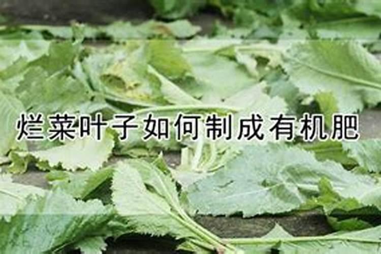 如何自制钾肥 自制钾肥用什么原料