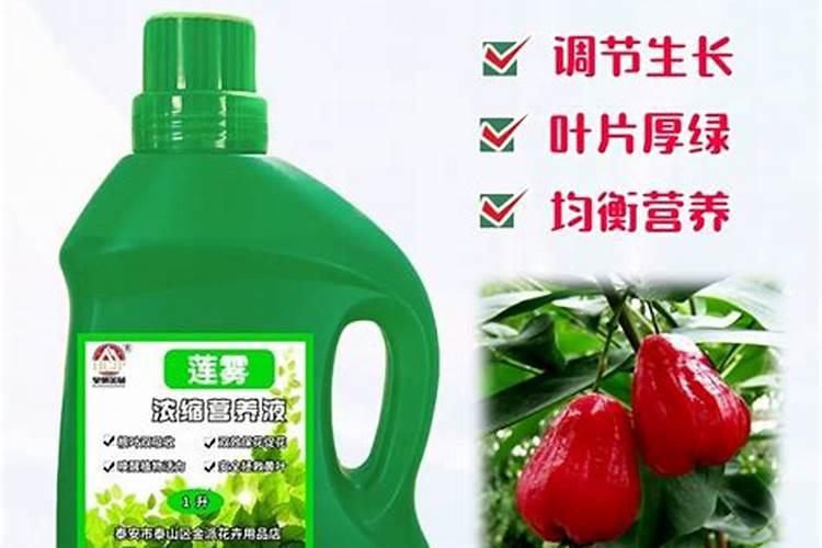 怎么样才能使莲雾开花结果？