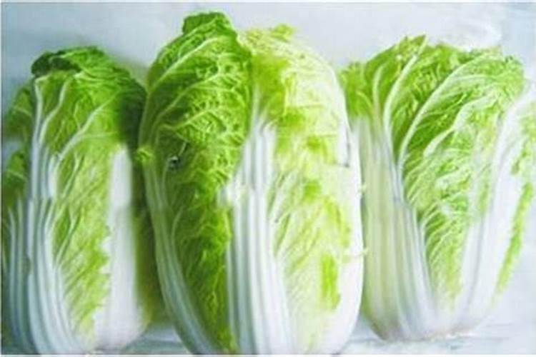 花肥用什么肥料好