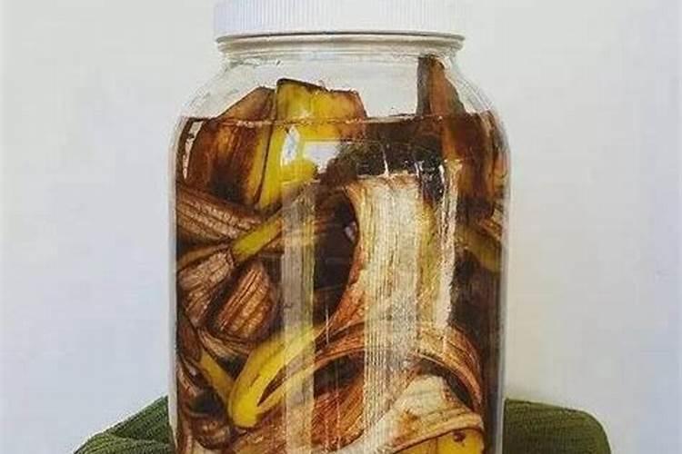 嫩柳枝泡水能当浇花的肥料使用吗？