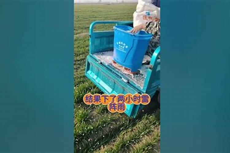 下雨前施肥还是下雨后施肥