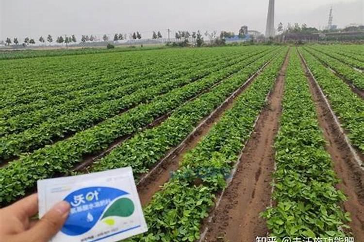 连续下雨后需要给蔬菜施肥吗
