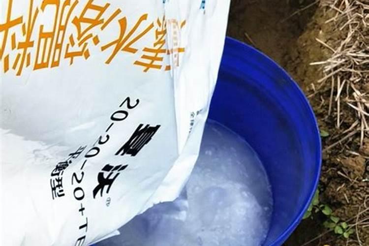 早熟红桃何时施肥效果最好