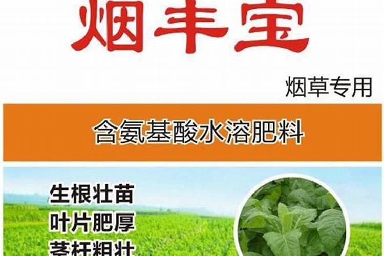 槟榔芋怎样种植 槟榔芋种植方法