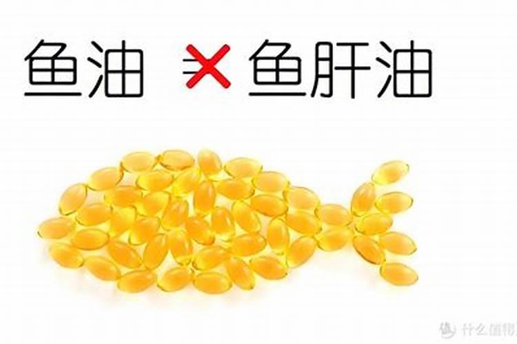 鱼油与鱼白的区别