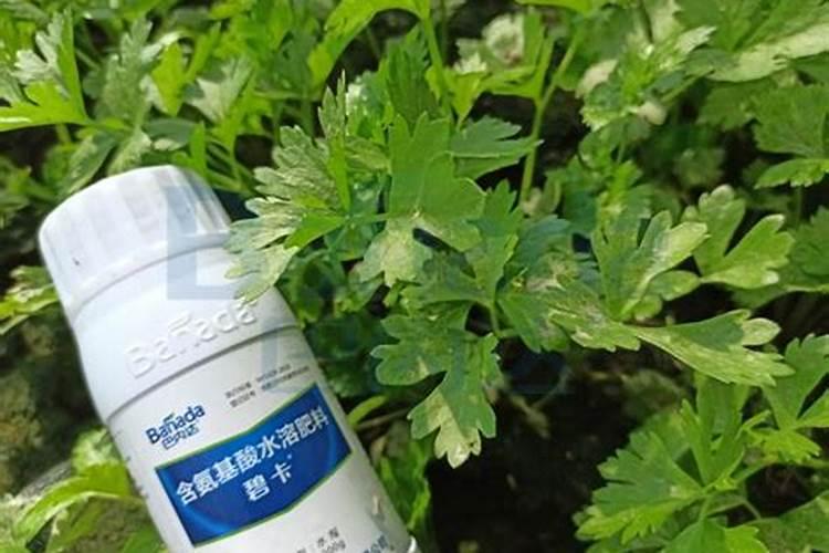 硝酸钾是什么东西 硝酸钾属于什么肥料