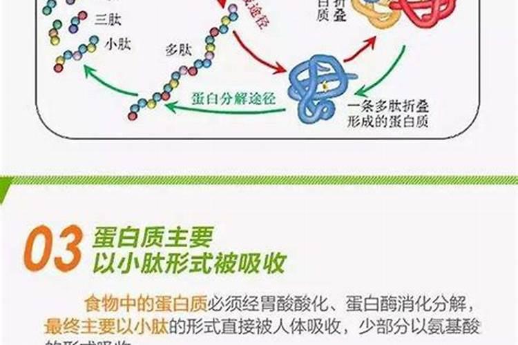 美国GNC健安喜螯合锌片的效果怎么样？
