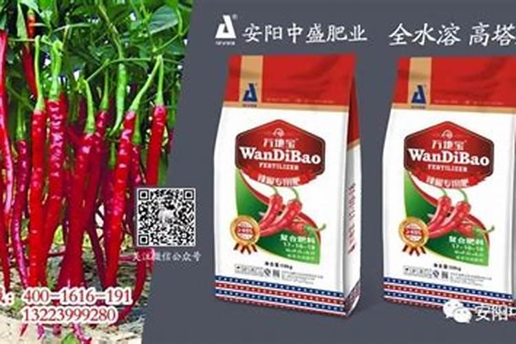 辣椒挂果后施什么肥