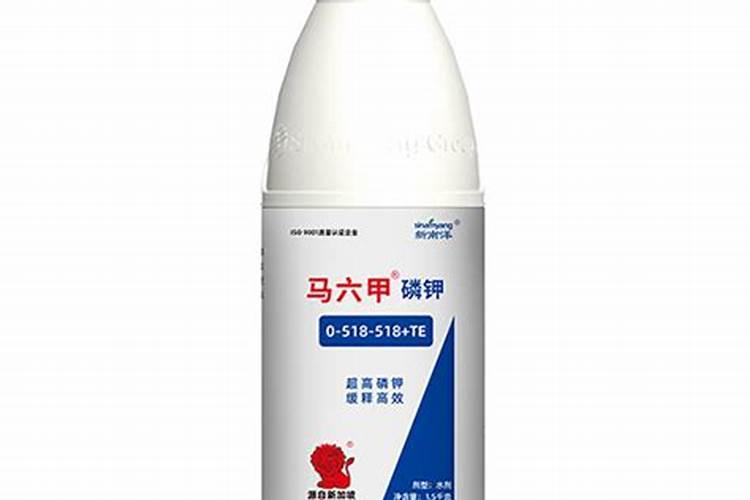 自制一种超级高效的磷肥,给杜鹃花喂4次,花苞长得密密麻麻