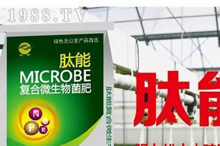 微生物菌肥的作用与使用方法