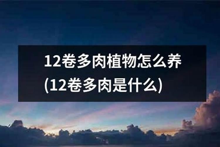 静夜秋季要怎么养