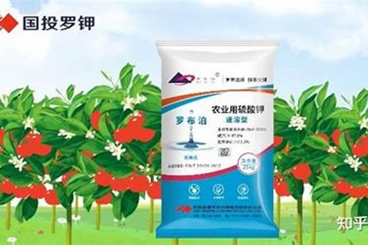 【罗布泊硫酸钾】国投罗钾打造新型高效肥料产业链