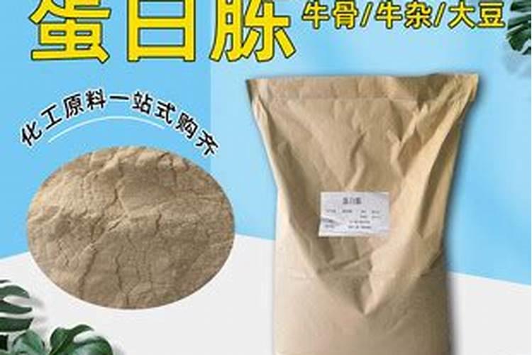 枯草芽孢杆菌可以加海藻多肽鱼蛋白吗？