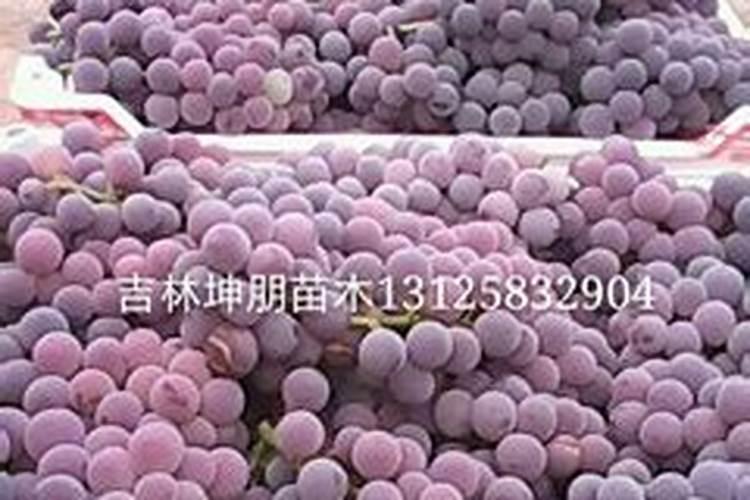 给葡萄树打叶面肥,一百斤水加多少尿素？那位朋友知道了说一声。谢谢了...