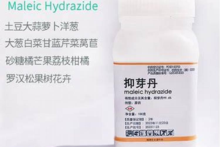 马来酰肼用途