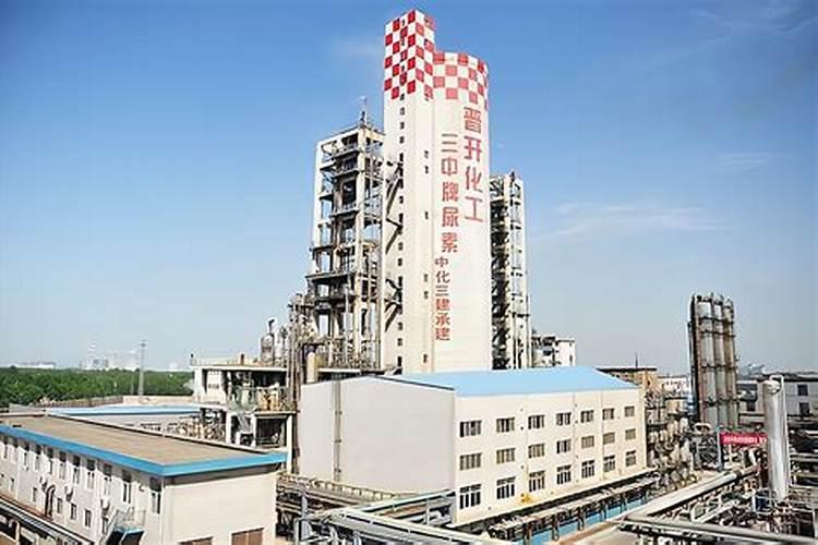 冬天给兰花施什么肥料好、果树冬天施肥应施什么肥料好