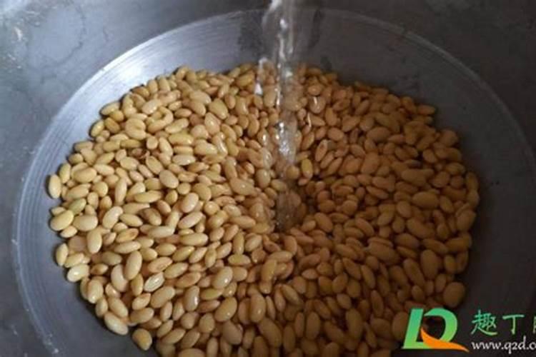 用煮过的大豆做肥料上花还用经过发酵吗