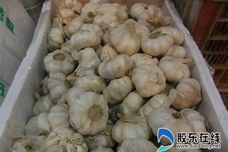 大蒜专用什么肥料