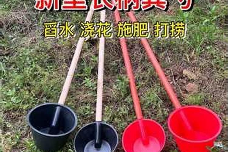 甜瓜,菜瓜在什么时间可以喷增瓜灵