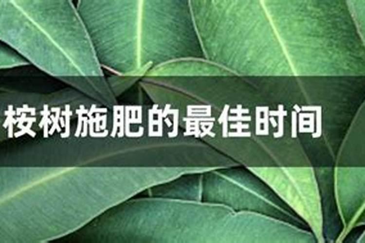 怎么防治植物青枯病？