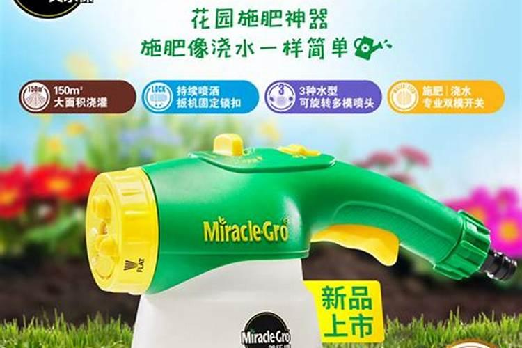 番茄膨果技巧
