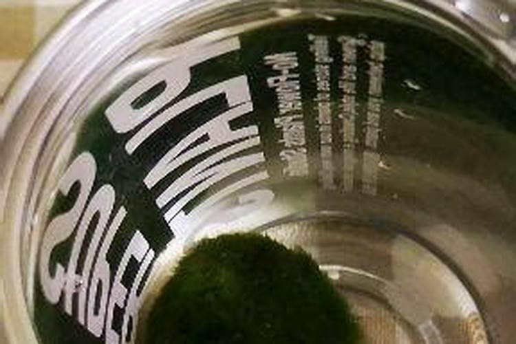 鱼蛋白肥料质量差别都很大,怎样挑选质量好的鱼蛋白肥料？