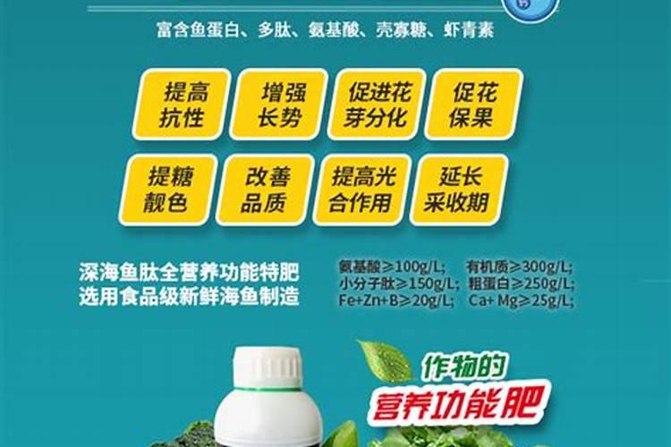莲瓣兰的特征是什么