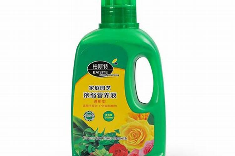 夏季兰花的用肥方法,施肥注意事项