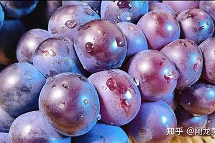 葡萄补钙后仍然缺钙原因(给葡萄补钙什么钙肥最好)