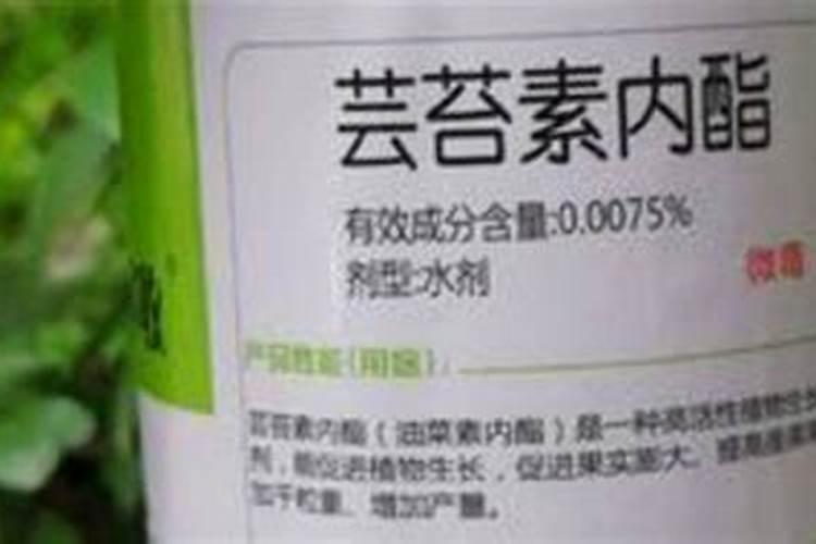 芸苔素能拌麦种吗