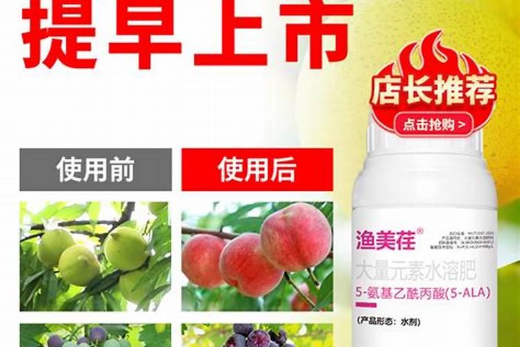 苹果转色期用什么肥能上色？