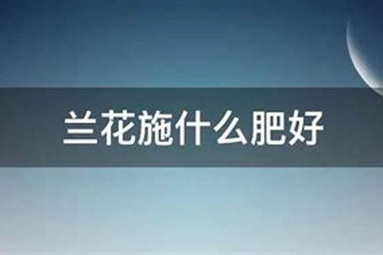 白玉兰怎么施肥