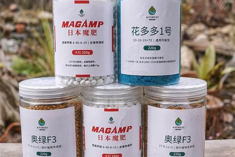 兰花用什么肥料好