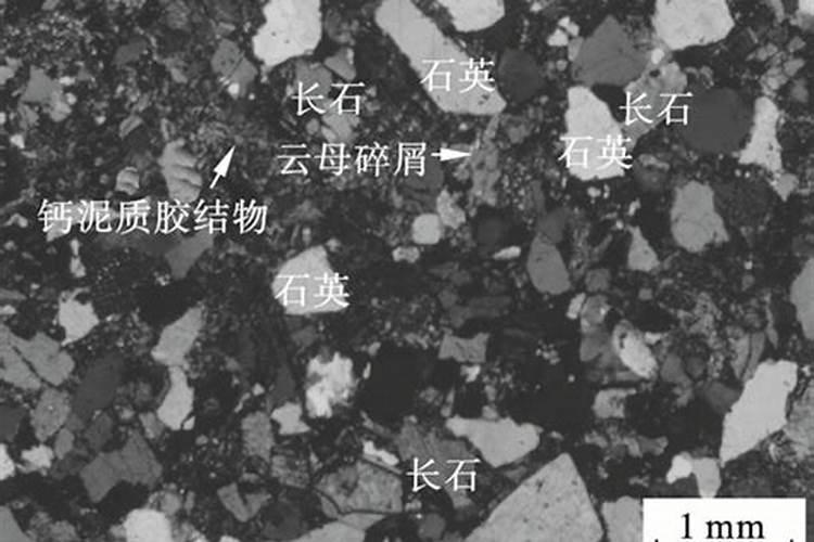 什么是腐磷
