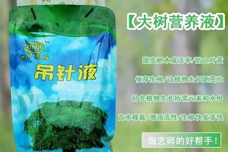 水培植物施肥方法和注意事项
