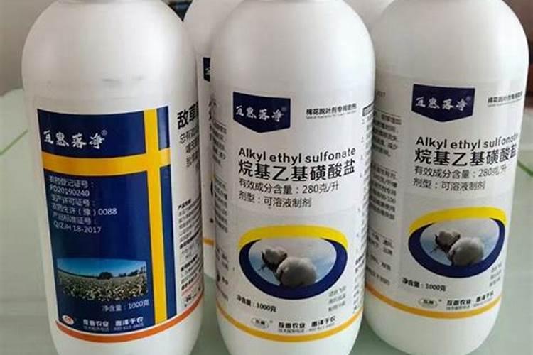 红叶石楠球不发根如何处理？