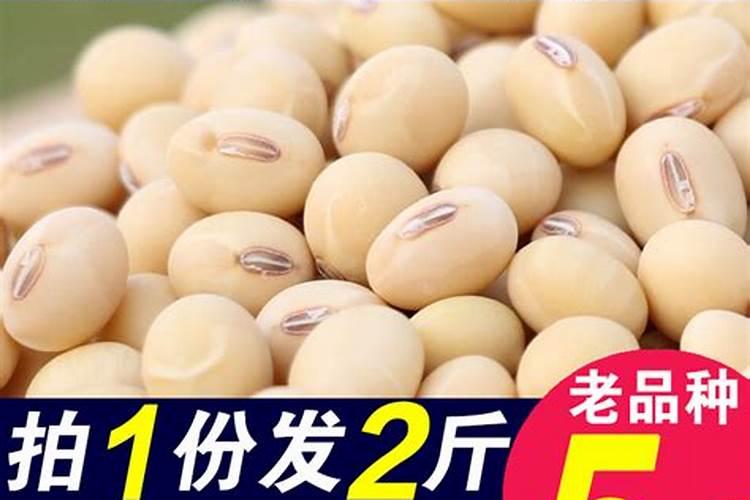 金正大控释玉米专用肥261212多少钱一吨