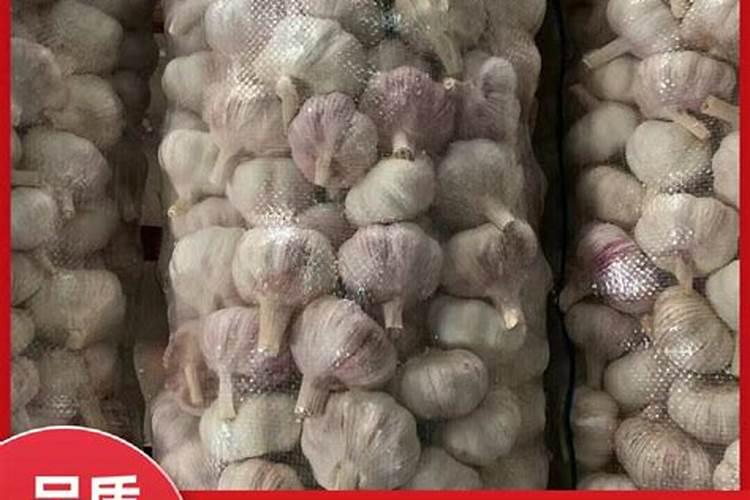 大蒜专用复合肥有哪些