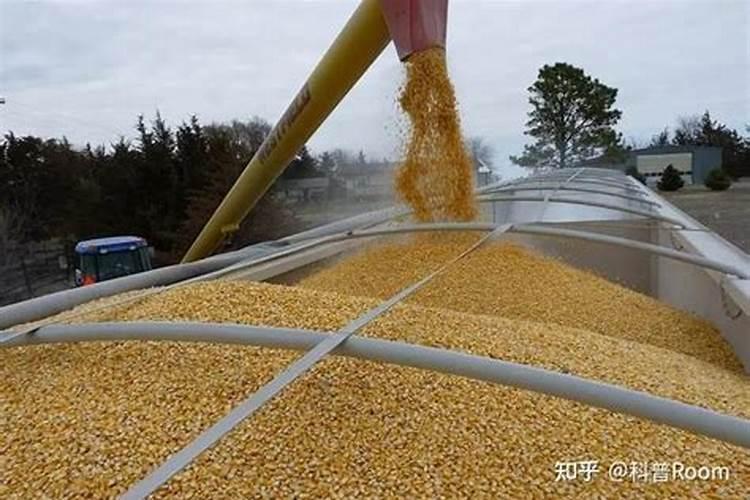 玉米复合肥氮磷钾最佳比例