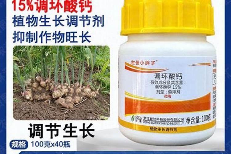 叶面肥料一般在什么时候使用