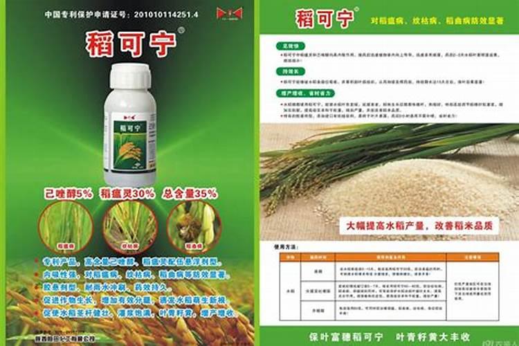 芸苔素和稻瘟灵可以混用吗？