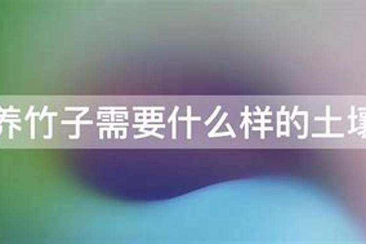 竹子上什么肥料好
