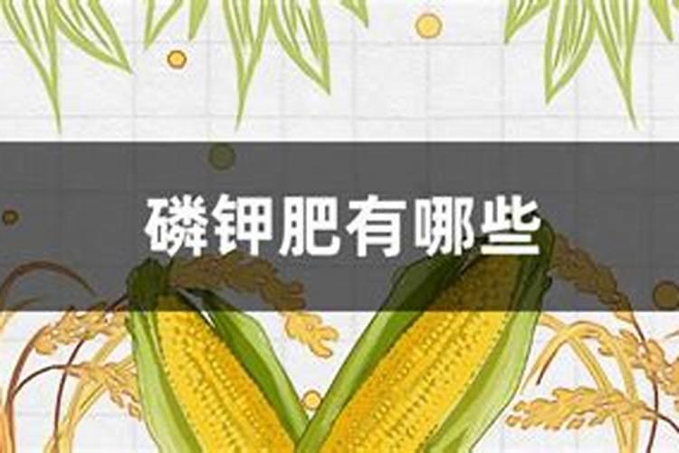 植物叶子用什么肥料能变大变厚？