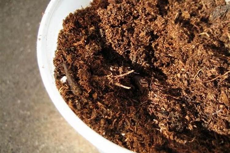 玉米用纯硫基肥好还是硫酸钾复合肥比较好？