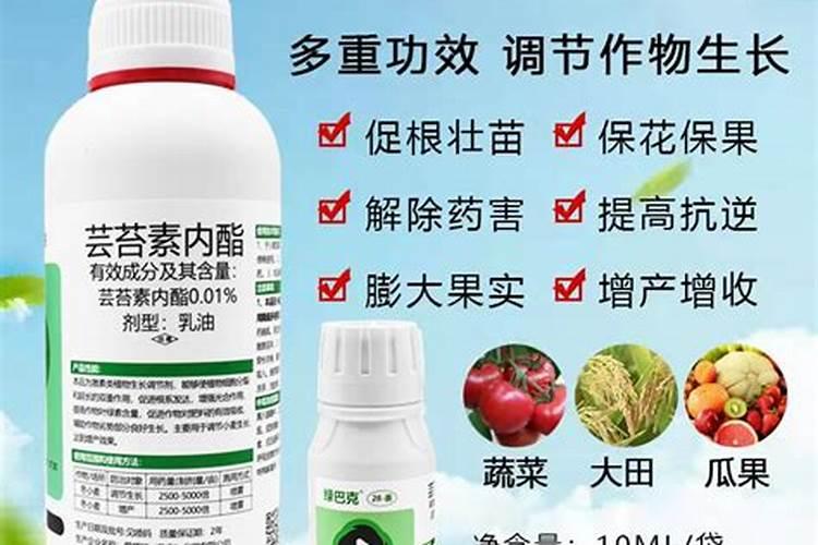 叶面肥的作用有哪些？叶面肥和芸苔素有啥区别？