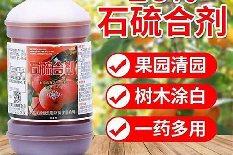 雨后水溶肥可以穴施？
