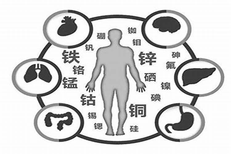 养殖中说的碳肥是什么