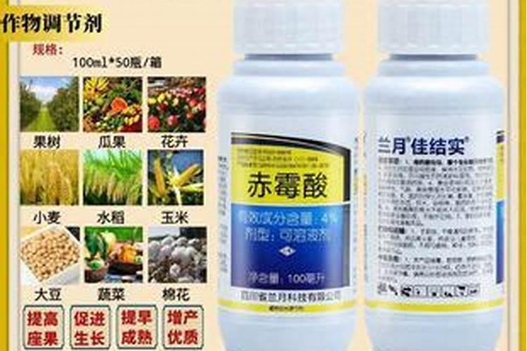沙糖桔第二次保果用什么药沙糖桔第二次保果用哪种药