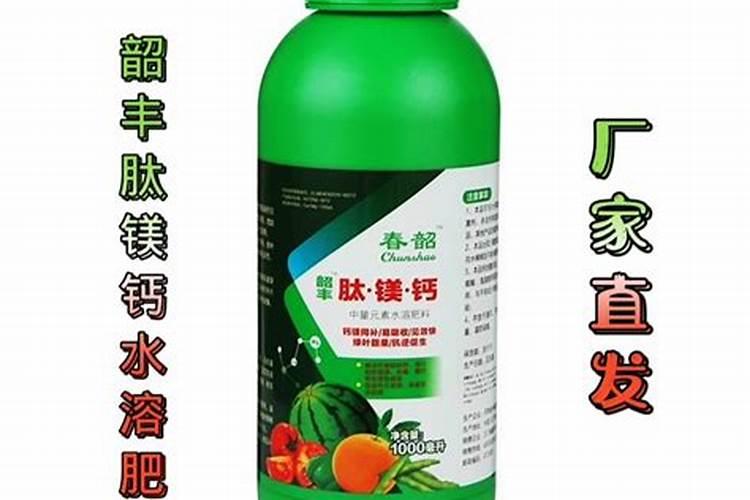 兰花施肥技巧